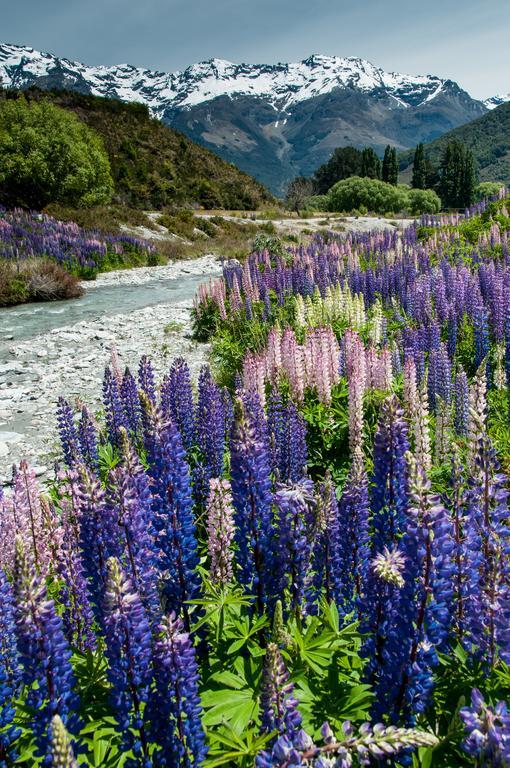 Glenorchy Peaks Bed And Breakfast Εξωτερικό φωτογραφία