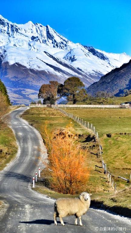 Glenorchy Peaks Bed And Breakfast Εξωτερικό φωτογραφία